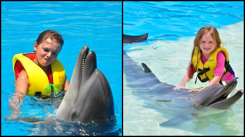 Side Schwimmen mit Delfinen